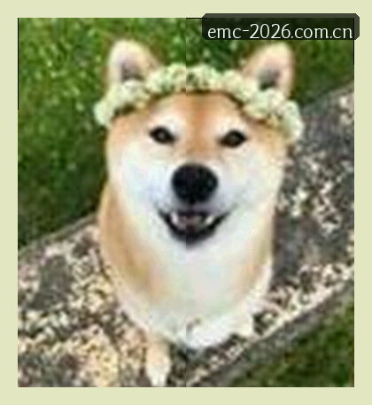 李思颖