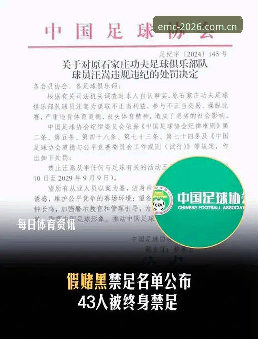 资深用户深度解读足协第三批禁足名单——从易倍体育视角看中国足球反腐风暴